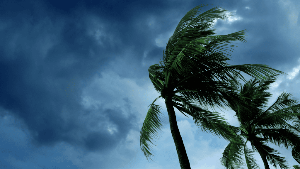 storm-in-florida-estate-planning