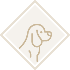 Pet Planning Icon